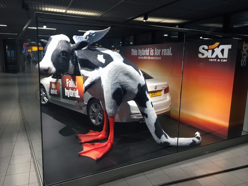 lotnisko amsterdam schipol