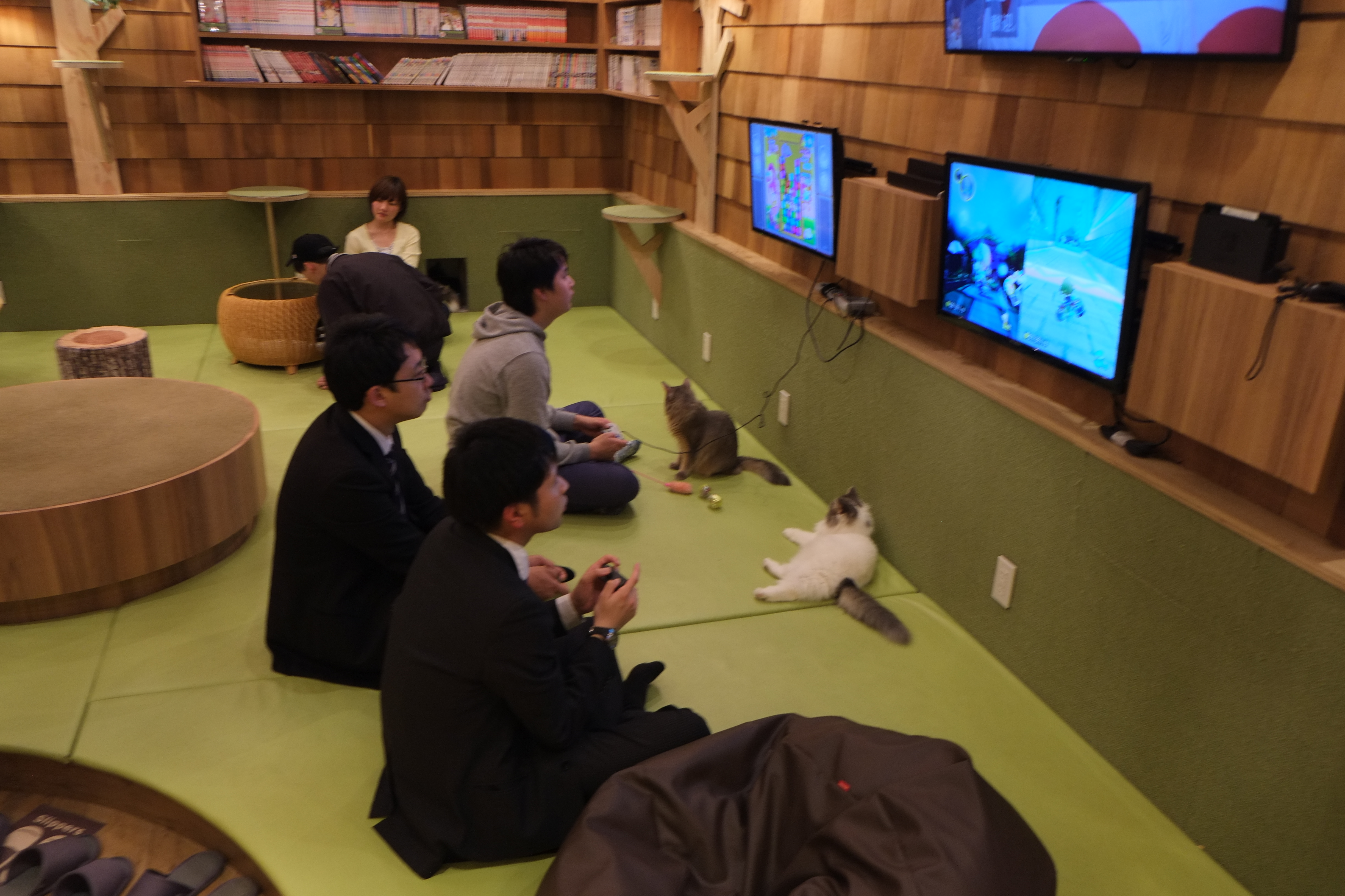 Cat coffee in Tokyo Akihabara Games Cats