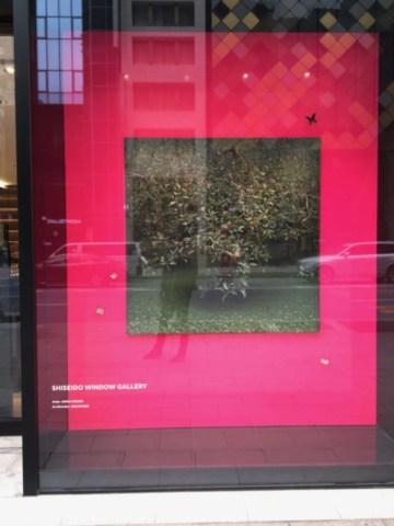 Shiseido Window Gallery Tokyo Japan art culture
