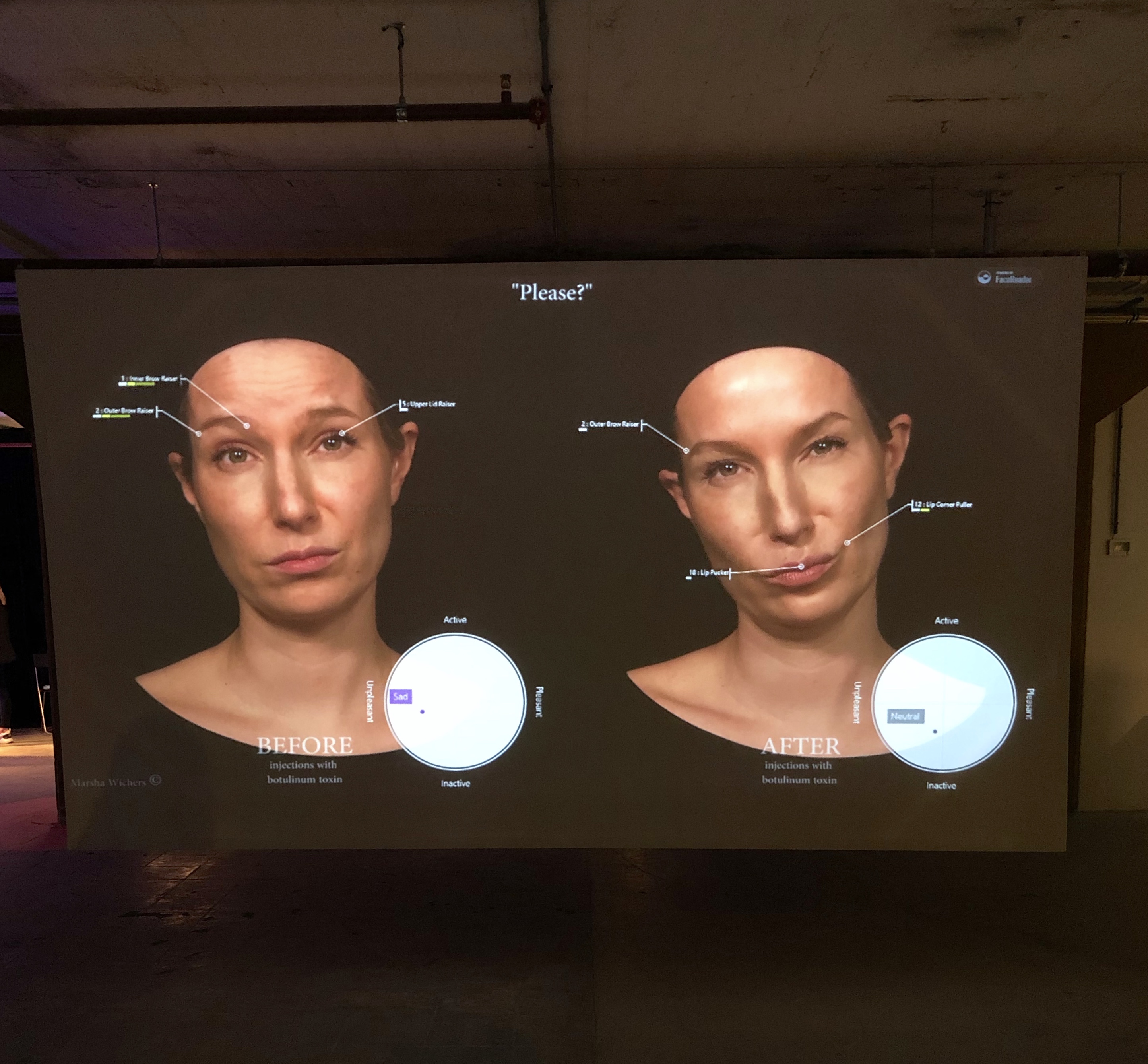 Project Face Design